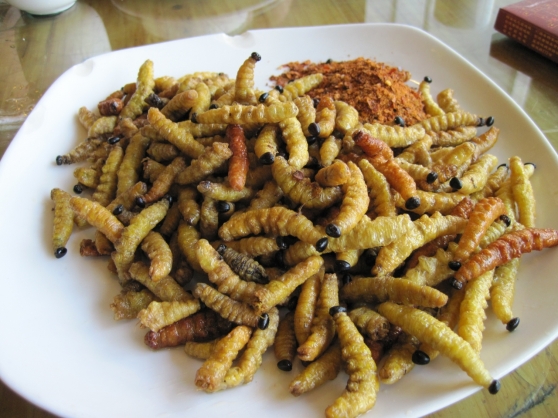 Here are the caterpillars, fried to perfection.